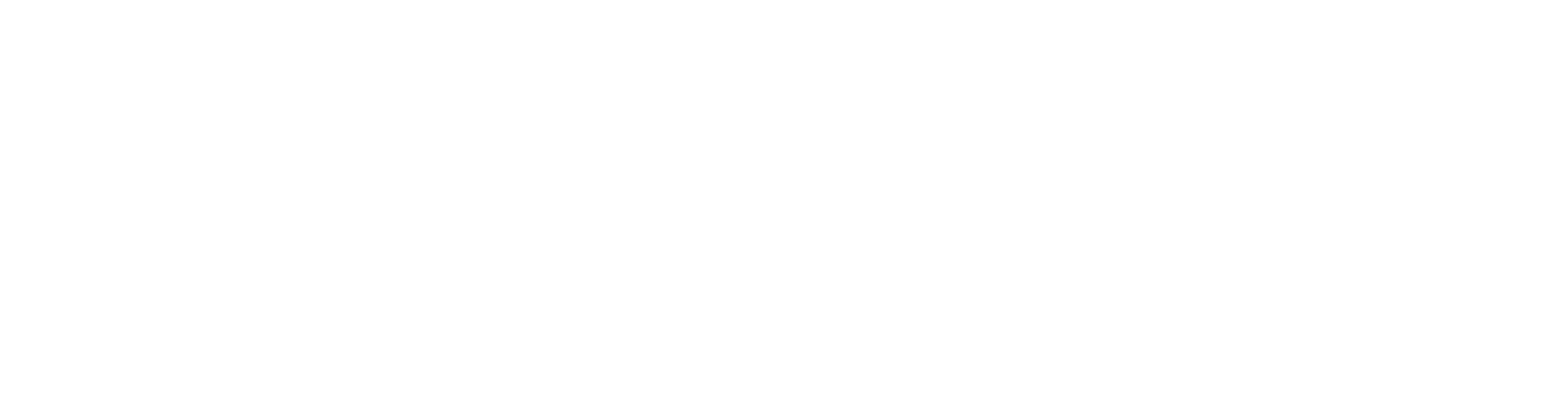 Aurora Housing Society
